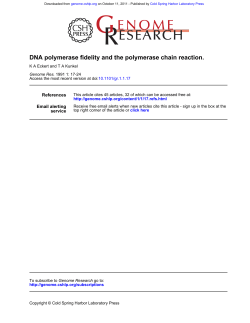 DNA polymerase fidelity and the polymerase chain reaction.
