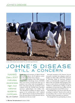 johne`s disease - cvmbs - Colorado State University