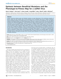 Epistasis between Beneficial Mutations and the