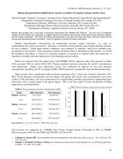 Rhesus glycoproteins in dogfish shark