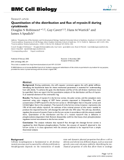 Quantitation of the distribution and flux of myosin