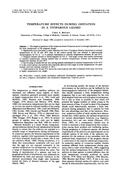 temperature effects during gestation in a viviparous lizard
