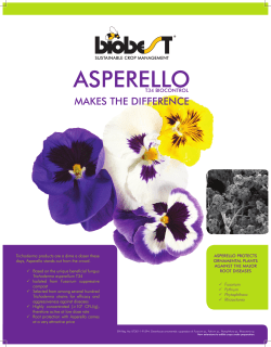 asperello