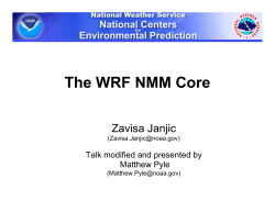 NMM Dynamics and Numerics