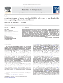 Bailey y Anderson. A mechanistic view of human mitochondrial DNA