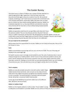 The Easter Bunny - Abbey House Veterinary Hospital