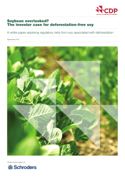 Soybean overlooked? The investor case for deforestation