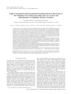 Light, Conventional and Environmental Scanning