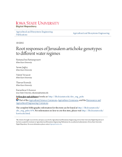 Root responses of Jerusalem artichoke genotypes to different water