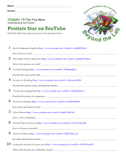 Protists Star on YouTube