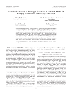 Attentional Processes in Stereotype Formation