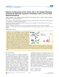 Reactive Conformation of the Active Site in the Hairpin Ribozyme