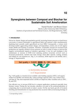 Synergisms between Compost and Biochar for