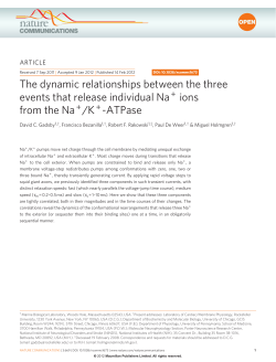 Article