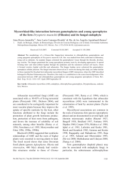 Mycorrhizal-like interaction between gametophytes and young