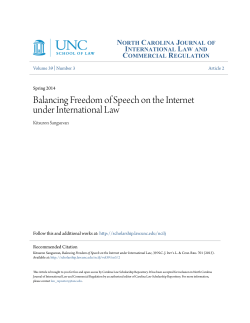 Balancing Freedom of Speech on the Internet under International Law