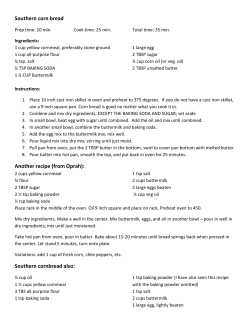 Southern corn bread - Megalore Main Page