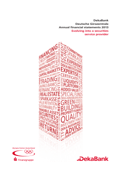 Individual financial statements 2013