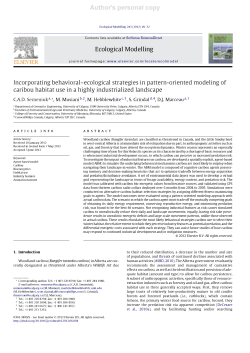 Incorporating behavioral-ecological strategies in pattern
