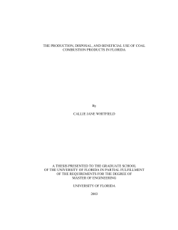 THE PRODUCTION, DISPOSAL, AND BENEFICIAL USE OF COAL