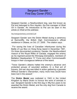 Sargeant Gander - First Day Cover