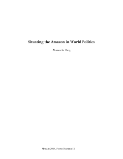 Situating the Amazon in World Politics