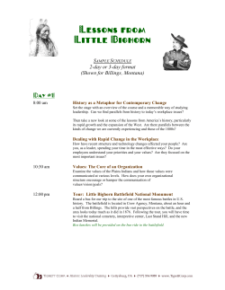 Lessons from Little Bighorn