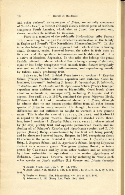 and other authors1) as synonyms of Priva, are actually synonyms of