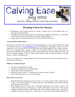 July 2012 - Calf Notes.com