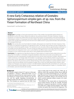 A new Early Cretaceous relative of Gnetales: Siphonospermum