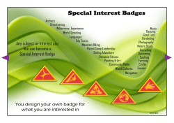 Cub Special Interest Badges - 1st Galway St Joseph`s Scout Group