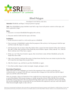 Blind Polygon - School Reform Initiative