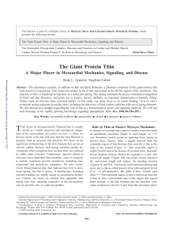 The Giant Protein Titin