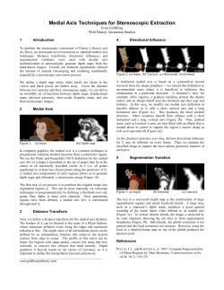 Medial Axis Techniques for Stereoscopic Extraction