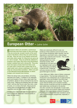 Species Fact Sheet - Kent Biodiversity Action Plan