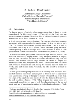 3. Cashew – Dwarf Variety - The International Potash Institute