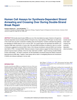 Human Cell Assays for Synthesis-Dependent Strand Annealing and