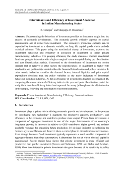 Determinants and Efficiency of Investment Allocation in