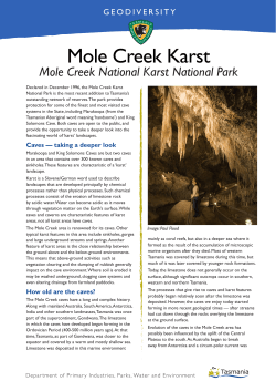 Mole Creek Karst - Tasmania Parks and Wildlife Service