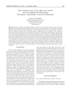 The scientific name of the coffee bean weevil and some additional