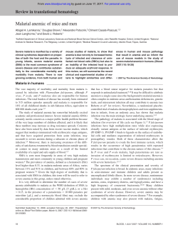 Malarial anemia: of mice and men