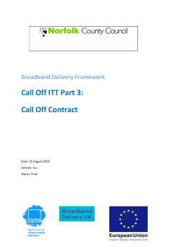 Call Off ITT Part 3: Call Off Contract