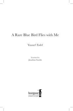 A Rare Blue Bird Flies with Me