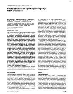 Crystal structure of a prokaryotic aspartyl tRNA