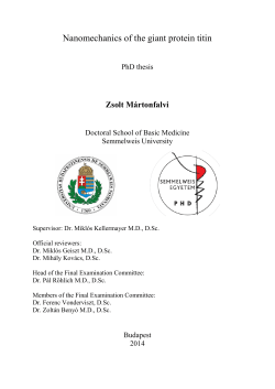 A titin &oacute;ri&aacute;sfeh&eacute;rje nanomechanik&aacute;ja