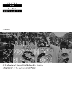 Testing a Public Health Approach to Gun Violence