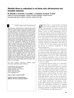 Rhodiola Rosea as antioxidant in red blood cells