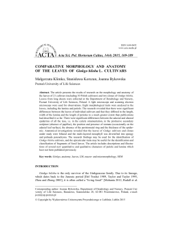 COMPARATIVE MORPHOLOGY AND ANATOMY OF THE LEAVES