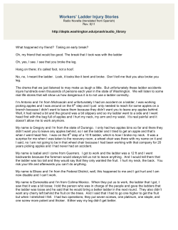 pdf transcript from Spanish