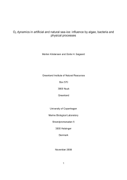 O2 dynamics in artificial and natural sea